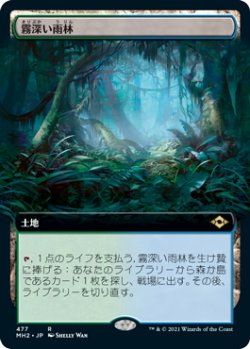 画像1: 【Foil】【拡張アート】(MH2-RL)Misty Rainforest/霧深い雨林(英,EN)