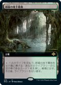 【Foil】【拡張アート】(MH2-RL)Verdant Catacombs/新緑の地下墓地(日,JP)