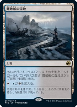 画像1: (MID-RL)Shipwreck Marsh/難破船の湿地(日,JP)