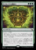 (MKM-RG)Archdruid's Charm/大ドルイドの魔除け(日,JP)