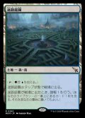 (MKM-RL)Hedge Maze/迷路庭園(英,EN)