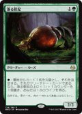 $FOIL$(MM3-RG)Scavenging Ooze/漁る軟泥(JP,EN)