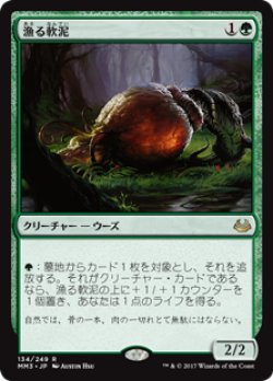 画像1: (MM3-RG)Scavenging Ooze/漁る軟泥(JP,EN)