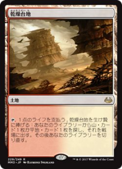 画像1: $FOIL$(MM3-RL)Arid Mesa/乾燥台地(JP,EN)