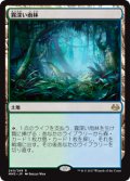 $FOIL$(MM3-RL)Misty Rainforest/霧深い雨林(JP,EN)