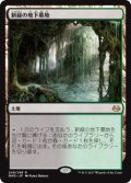 (MM3-RL)Verdant Catacombs/新緑の地下墓地(JP,EN)