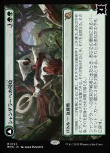 (MOM-MG)Invasion of Shandalar/シャンダラーへの侵攻(英,EN)