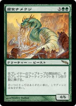 画像1: 【Foil】(MRD-RG)Molder Slug/腐食ナメクジ(英,EN)