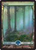 (Promo-Judge)Forest/森 (Illus. Terese Nielsen)