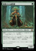 (ONE-RG)Venerated Rotpriest/敬慕される腐敗僧(日,JP)