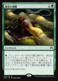 $FOIL$(ORI-RG)Evolutionary Leap/進化の飛躍(日,JP)