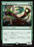 $FOIL$(ORI-RG)Managorger Hydra/マナ喰らいのハイドラ(日,JP)