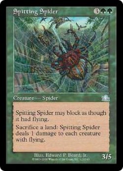 画像1: (PCY-UG)Spitting Spider/毒吐き蜘蛛(英,EN)