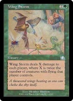 画像1: (PCY-UG)Wing Storm/翼の嵐(英,EN)