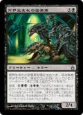 【Foil】(RAV-UB)Netherborn Phalanx/冥界生まれの密集軍(英,EN)