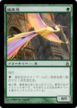 画像1: 【Foil】(RAV-RG)Birds of Paradise/極楽鳥(日,JP)