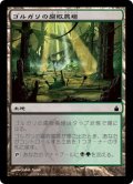 【Foil】(RAV-CL)Golgari Rot Farm/ゴルガリの腐敗農場(日,JP)