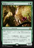 (RIX-RG)Tendershoot Dryad/若葉のドライアド(英,EN)