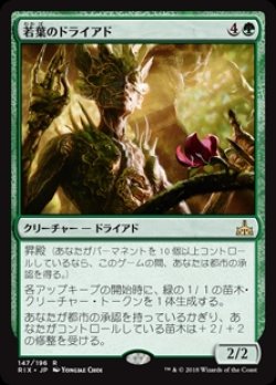 画像1: (RIX-RG)Tendershoot Dryad/若葉のドライアド(日,JP)