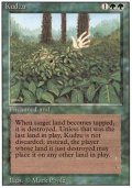 (3ED-R)Kudzu(英,EN)