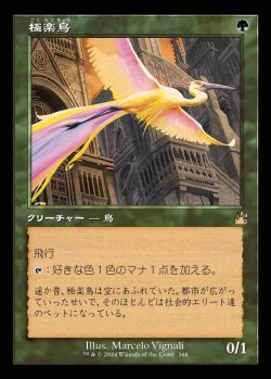 画像1: 【旧枠】(RVR-RG)Birds of Paradise/極楽鳥【No.0344】(英,EN)