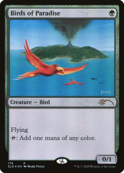 画像1: 【Foil】(SLD-RG)Birds of Paradise/極楽鳥 (No.176)