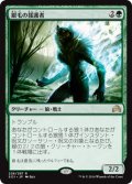 (SOI-RG)Silverfur Partisan/銀毛の援護者(英,EN)