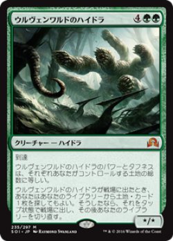 画像1: (SOI-MG)Ulvenwald Hydra/ウルヴェンワルドのハイドラ(英,EN)