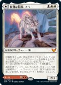 (STX-MW)Mila, Crafty Companion/狡猾な相棒、ミラ(英,EN)