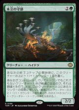 (TDM-RG)Warden of the Grove/木立の守部(英,EN)