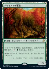 【Foil】(TSR-RG)Dryad Arbor/ドライアドの東屋(日,JP)