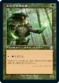【Foil】(TSR-TG)Elvish Mystic/エルフの神秘家(日,JP)