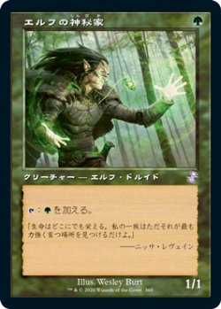 画像1: 【Foil】(TSR-TG)Elvish Mystic/エルフの神秘家(日,JP)