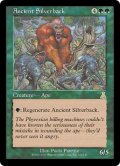 【Foil】(UDS-RG)Ancient Silverback/年経たシルバーバック(英,EN)