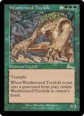 【Foil】(ULG-RG)Weatherseed Treefolk/ウェザーシード・ツリーフォーク(日,JP)