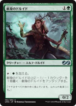 画像1: (UMA-UG)Devoted Druid/献身のドルイド(日,JP)