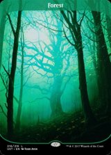 (UST-CL)Forest/森