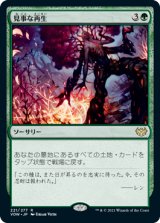 (VOW-RG)Splendid Reclamation/見事な再生(英,EN)