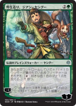 画像1: 【FOIL】【絵違い】(WAR-UG)Jiang Yanggu, Wildcrafter/野生造り、ジアン・ヤングー【通常ブースター・全面光沢】