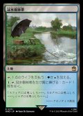 (WHO-RL)Waterlogged Grove/冠水樹林帯(日,JP)