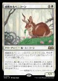 (WOE-RW)Regal Bunnicorn/威厳あるバニコーン(日,JP)