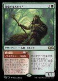 (WOE-RG)Questing Druid/探索するドルイド(日,JP)