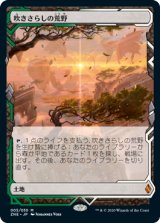 (ZNE-ML)Windswept Heath/吹きさらしの荒野(日,JP)