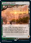 【Foil】(ZNE-ML)Windswept Heath/吹きさらしの荒野(英,EN)