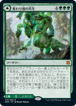 画像1: 【Foil】(ZNR-MG)Turntimber Symbiosis/変わり樹の共生(英,EN)