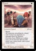 (ARN)Camel
