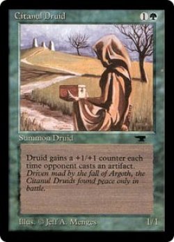 画像1: (AQ)Citanul Druid(英,English)