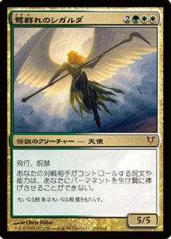 画像1: $FOIL$(AVR-M)Sigarda, Host of Herons/鷺群れのシガルダ(日,JP)