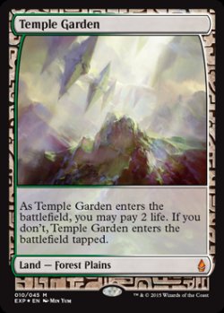 画像1: (BFZ-EX)Temple Garden/寺院の庭(英,EN)