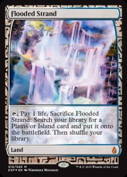 画像1: (BFZ-EX)Flooded Strand/溢れかえる岸辺(英,EN)